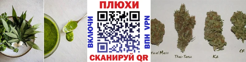 маркетплейс клад  Гудермес  Еда ТГК марихуана  купить наркотики цена 