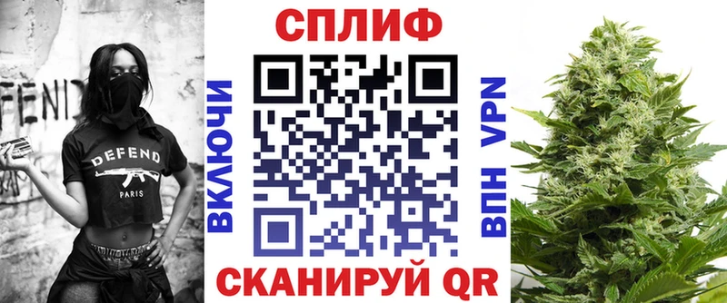 Каннабис сатива  Гудермес 